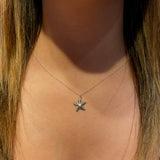 Coastal Star